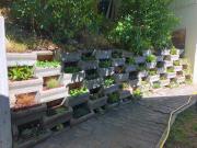 Murs-vegetalises-1