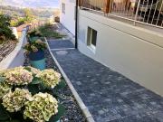 Pavage-1