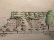 Plan-esquisse-5
