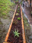 Plantations-divers-1