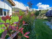 Plantations-divers-2