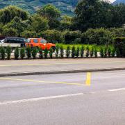 Plantations-divers-4