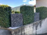 Brise-vue-en-gabion-1